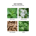 Information related to Nest Wild Mint and Eucalyptus Candle