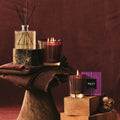 Lifestyle image of Lafco Autumn Plum Candle (Limited Edition) variant: 8.1 oz (Classic)