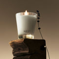 Lifestyle image of Nest Cedar Leaf & Lavender Candle variant: 8.1 oz (Classic)
