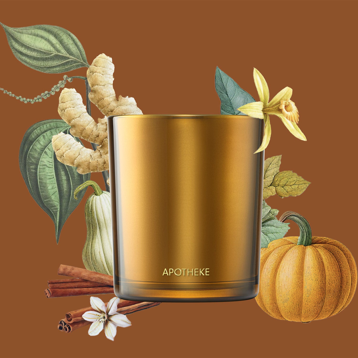 Information related to Apotheke Pumpkin Ginger Candle