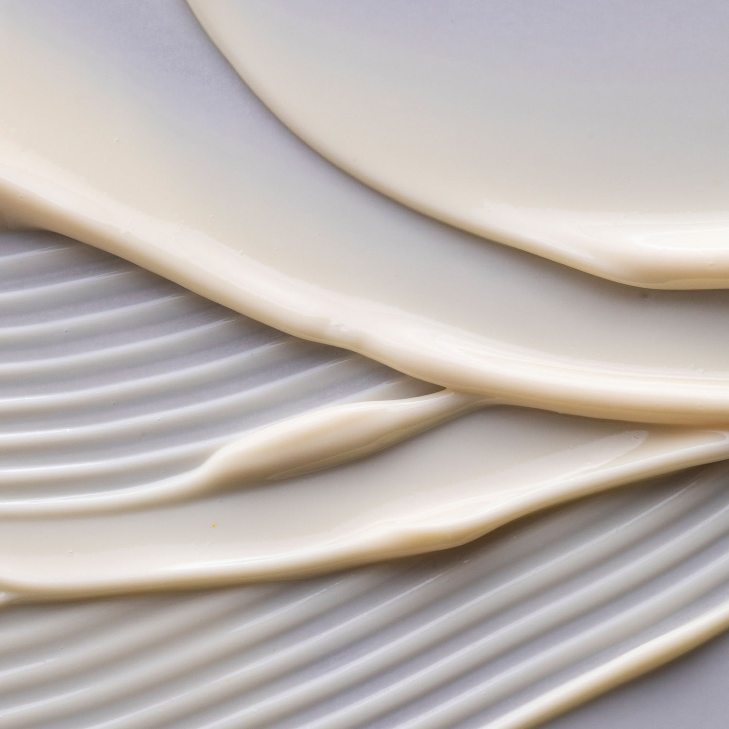 Swatch image of Retrouvé Dynamic Nourishing Face Cream