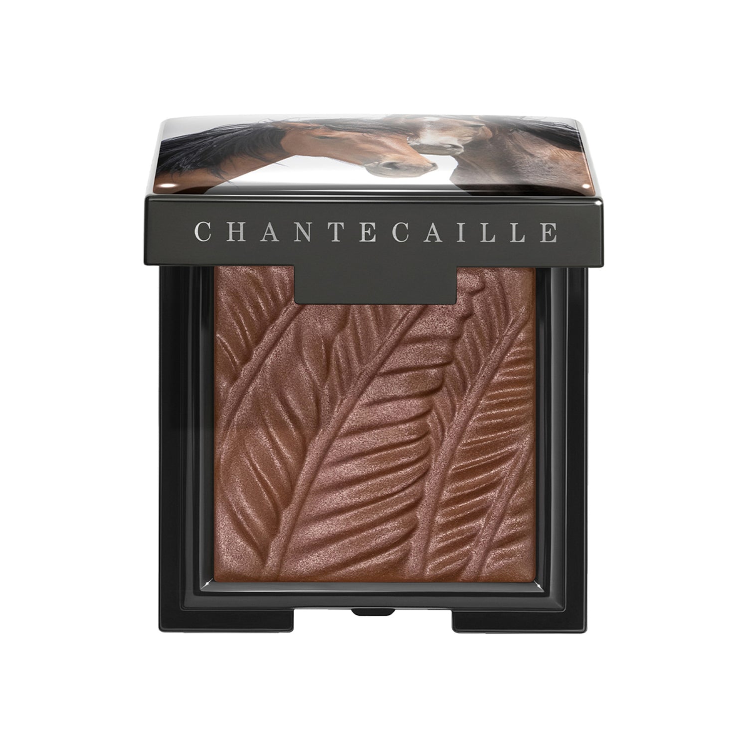 Chantecaille Wild Mustang Matte Eye Shade (Limited Edition) Color/Shade variant: Bay main image.