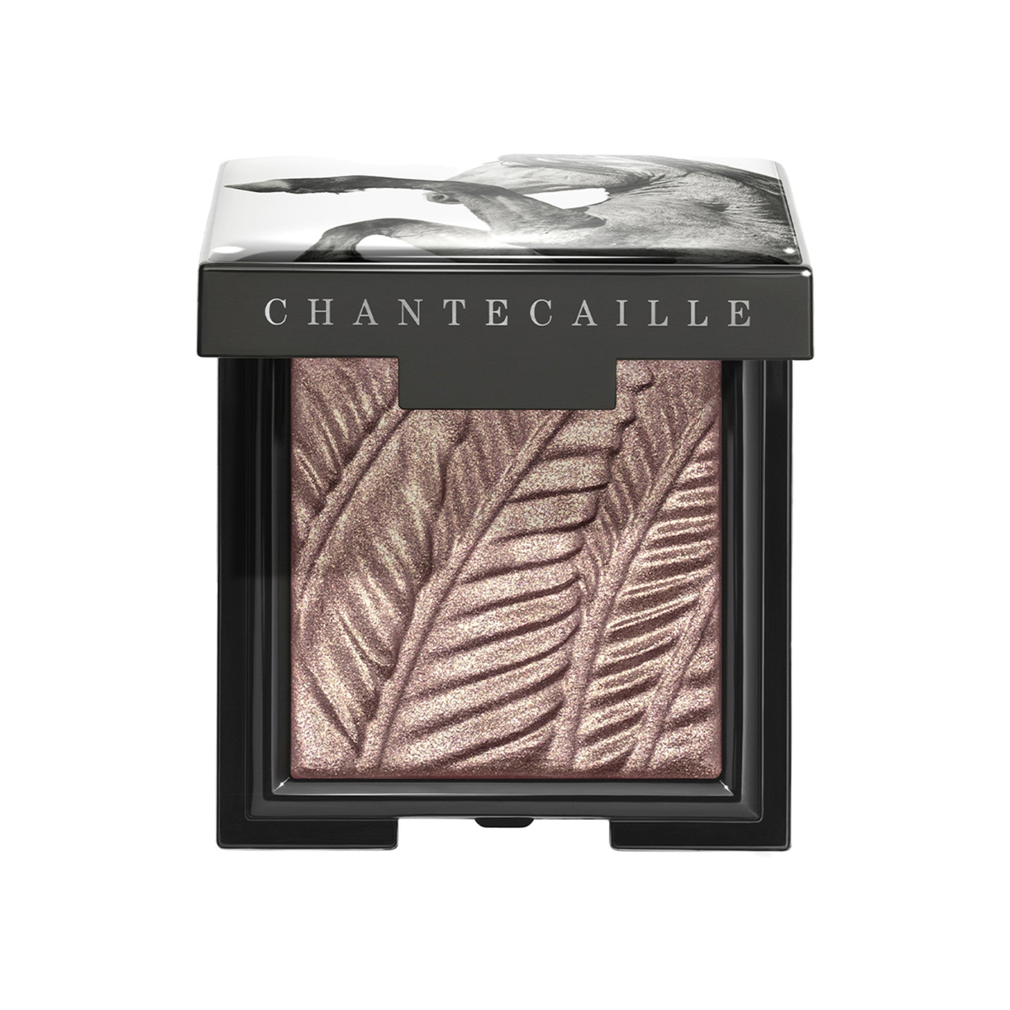 Chantecaille Wild Mustang Luminescent Eye Shade (Limited Edition) Color/Shade variant: Pinto main image.