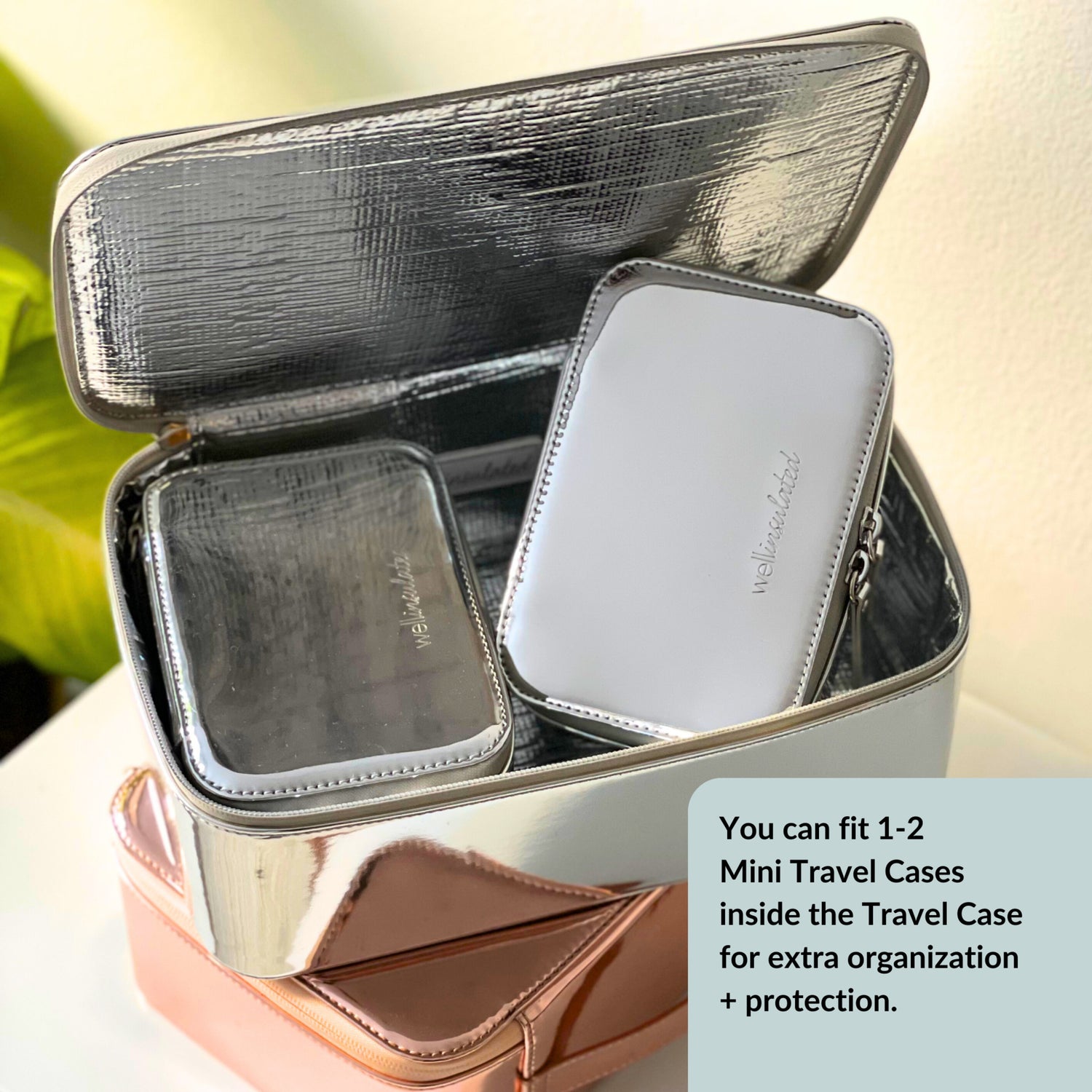 Wellinsulated Performance Mini Travel Case Color/Shade variant: Silver model image 2 .