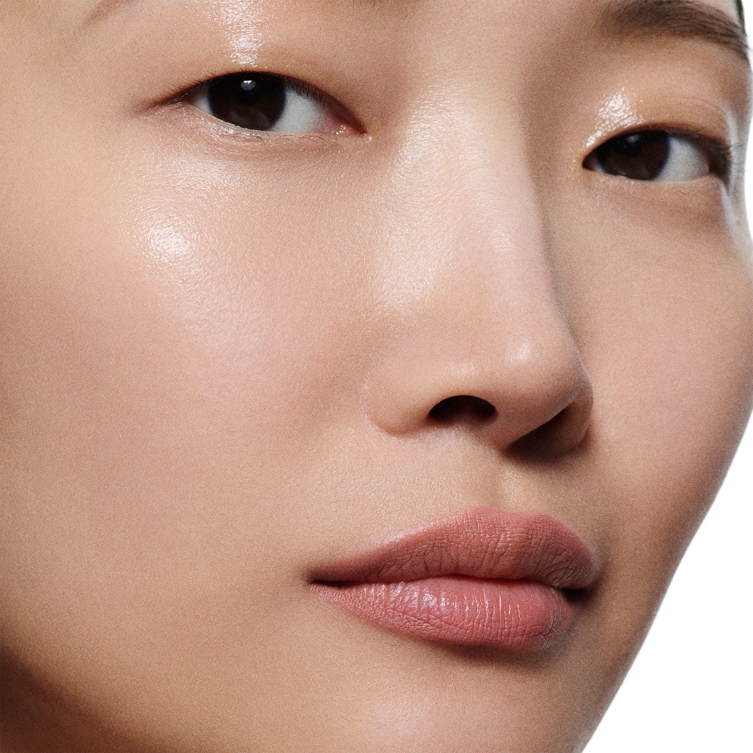 Model image of   variant: 01 - a pale pink for fair to light lip tones
