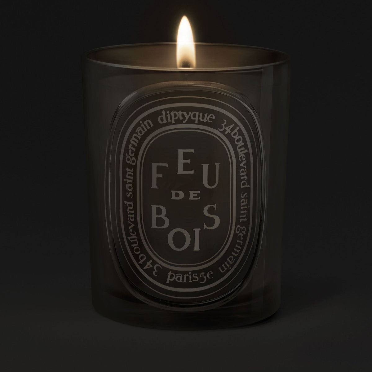 A lit Diptyque Feu de Bois candle in a translucent gray glass jar with an oval label, evoking a winter fireplace.