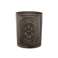 A gray glass Diptyque Feu de Bois (Wood Fire) Candle with an oval label printed with the words FEU DE BOIS, evoking the scent of a burning wood fireplace.