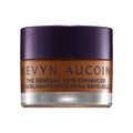 Kevyn Aucoin Sensual Skin Enhancer variant: 16 main image