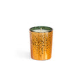 Image of an open Lafco Woodland Spruce Candle (Limited Edition) variant: 1.9 oz (Votive)