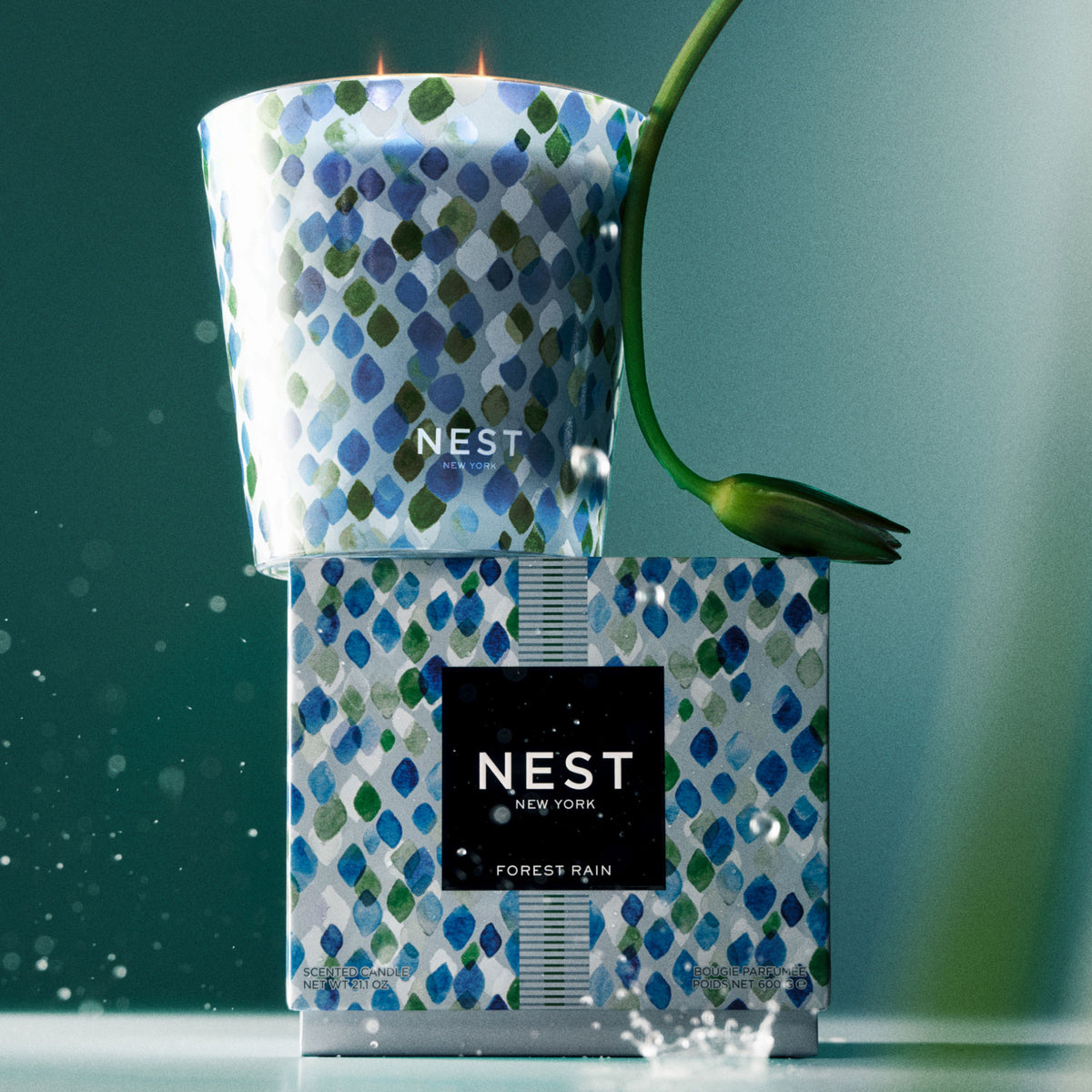 A patterned Nest New York Forest Rain Candle in a glass vessel sits atop its matching box, with a single green tulip and water droplets nearby, evoking the freshness of dewy fig leaves.