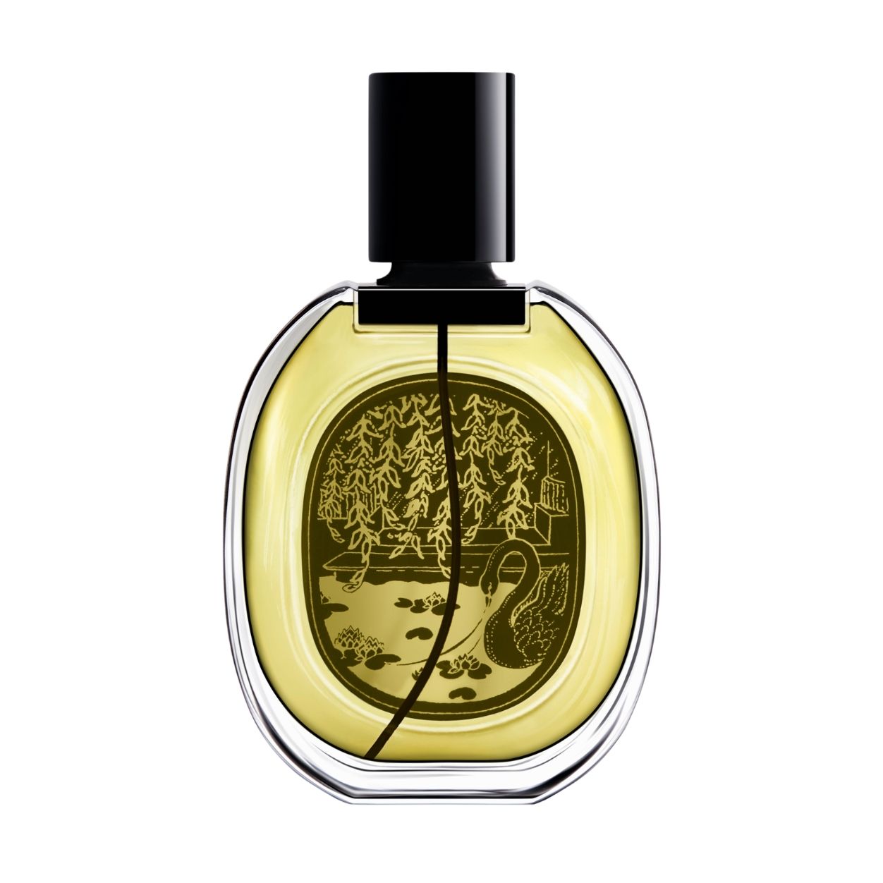 Back image of   variant: 2.5 fl oz