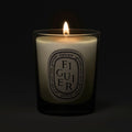 Lifestyle image of Diptyque Figuier (Fig Tree) Candle variant: 2.5 oz (Small)