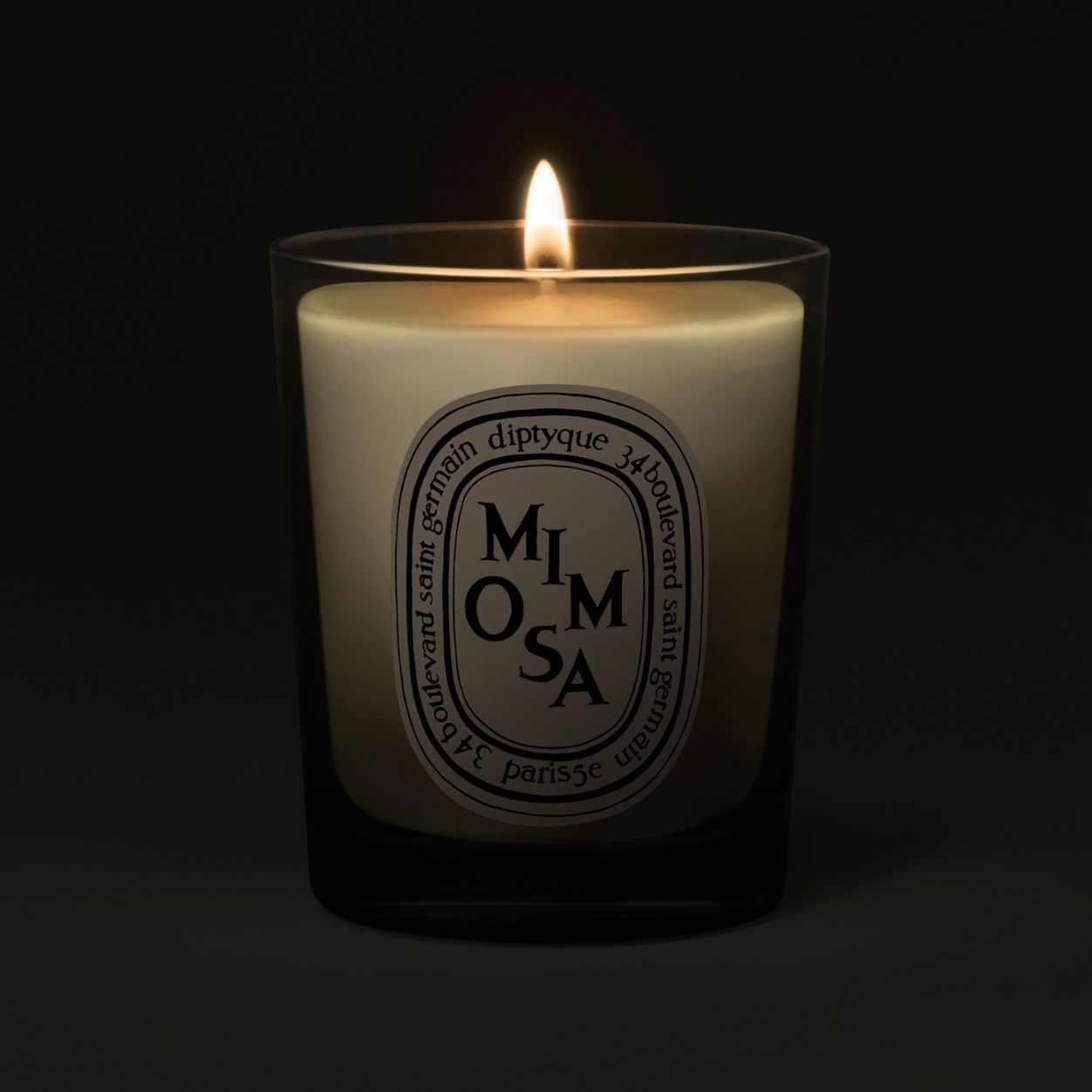 Lifestyle image of Diptyque Mimosa Candle variant: 2.5 oz (Small)