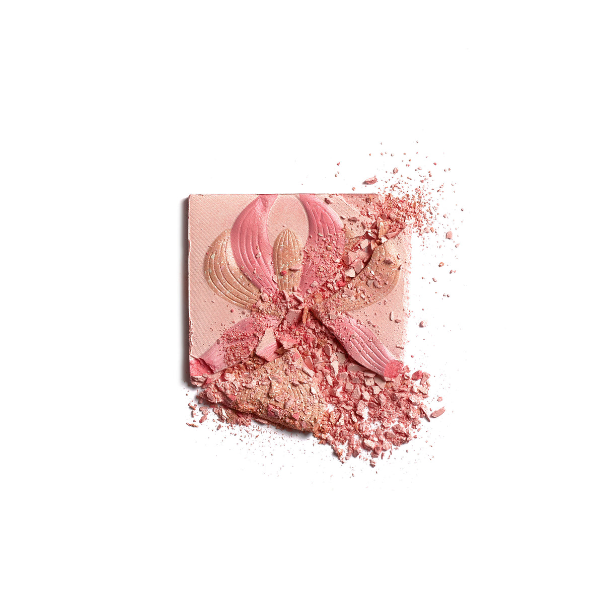Swatch image of   variant: 2 Rose
