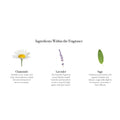 Infographic for the Chamomile Lavender Candle titled Ingredients Within the Fragrance, showing illustrations and descriptions for chamomile, lavender, and sage used in the scented candle.