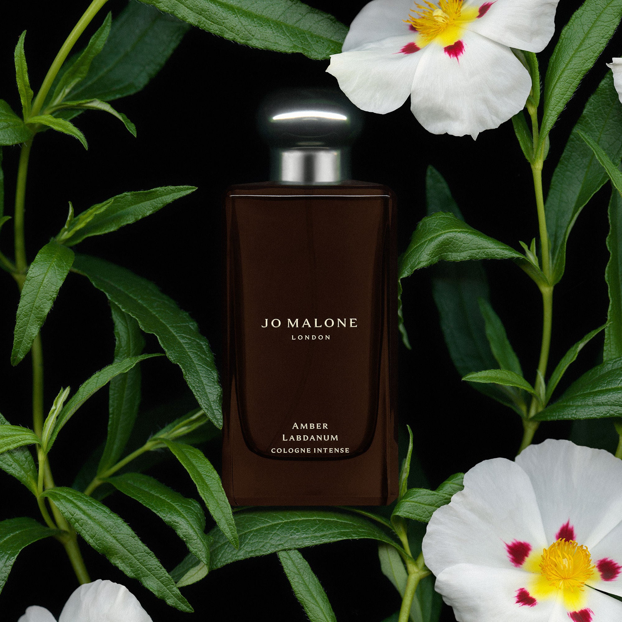 Jo Malone London Amber Labdanum Cologne Intense – Jo Malone London