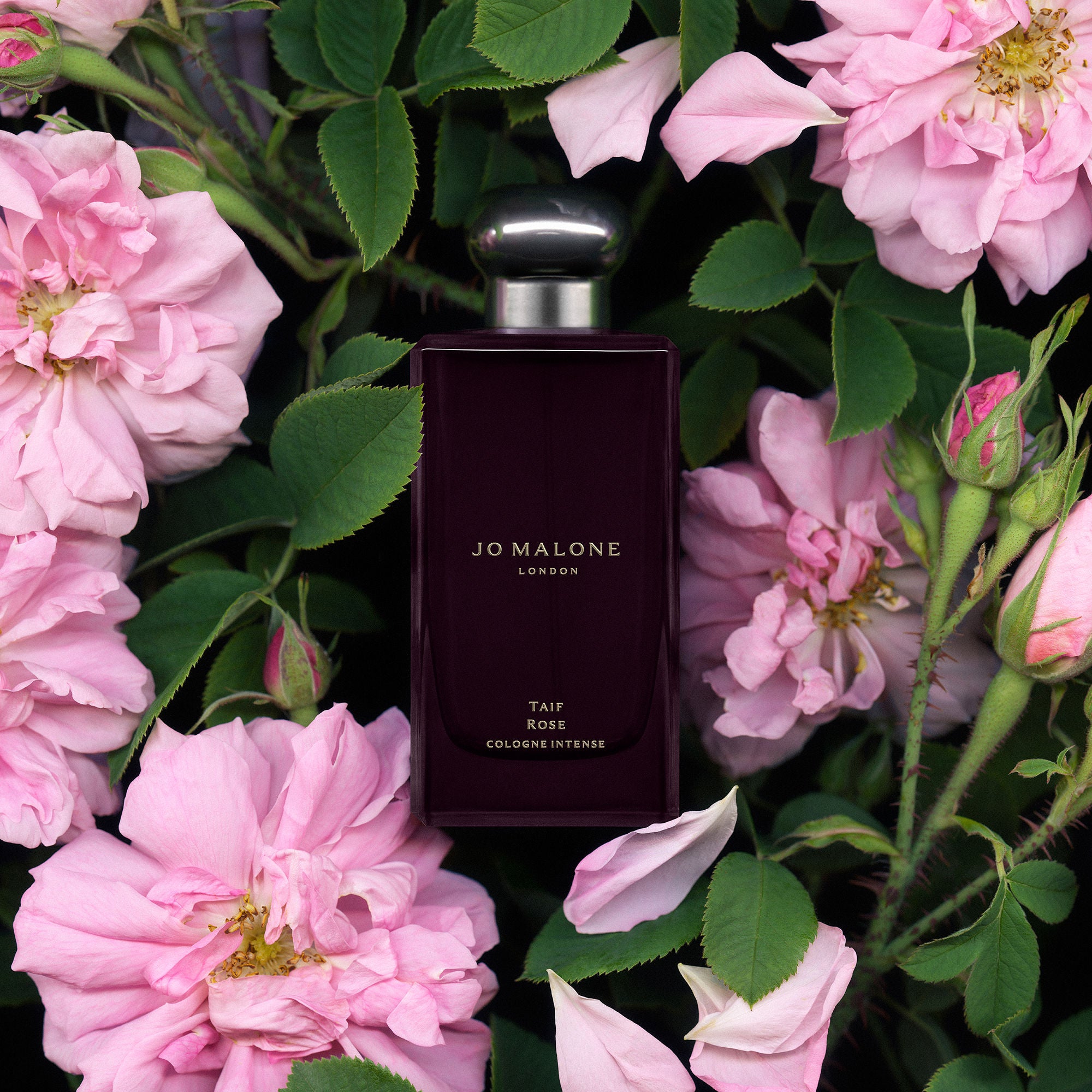 Jo Malone London Taif Rose Cologne Intense – Jo Malone London