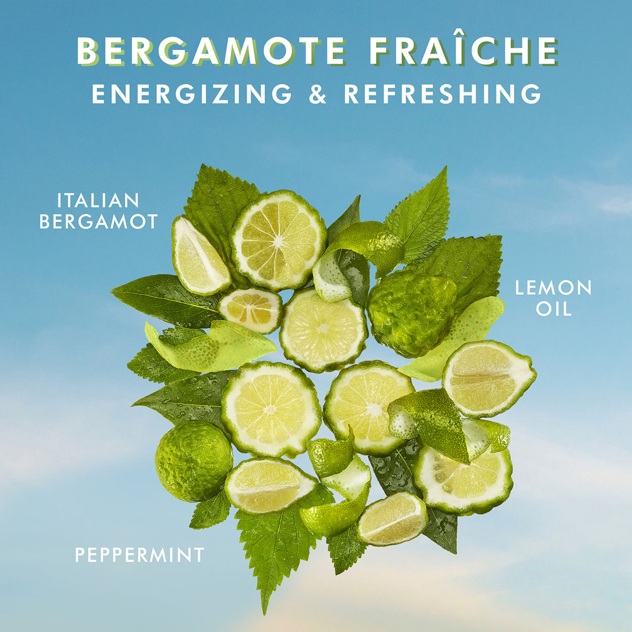 Model image of   variant: 3.4 fl oz