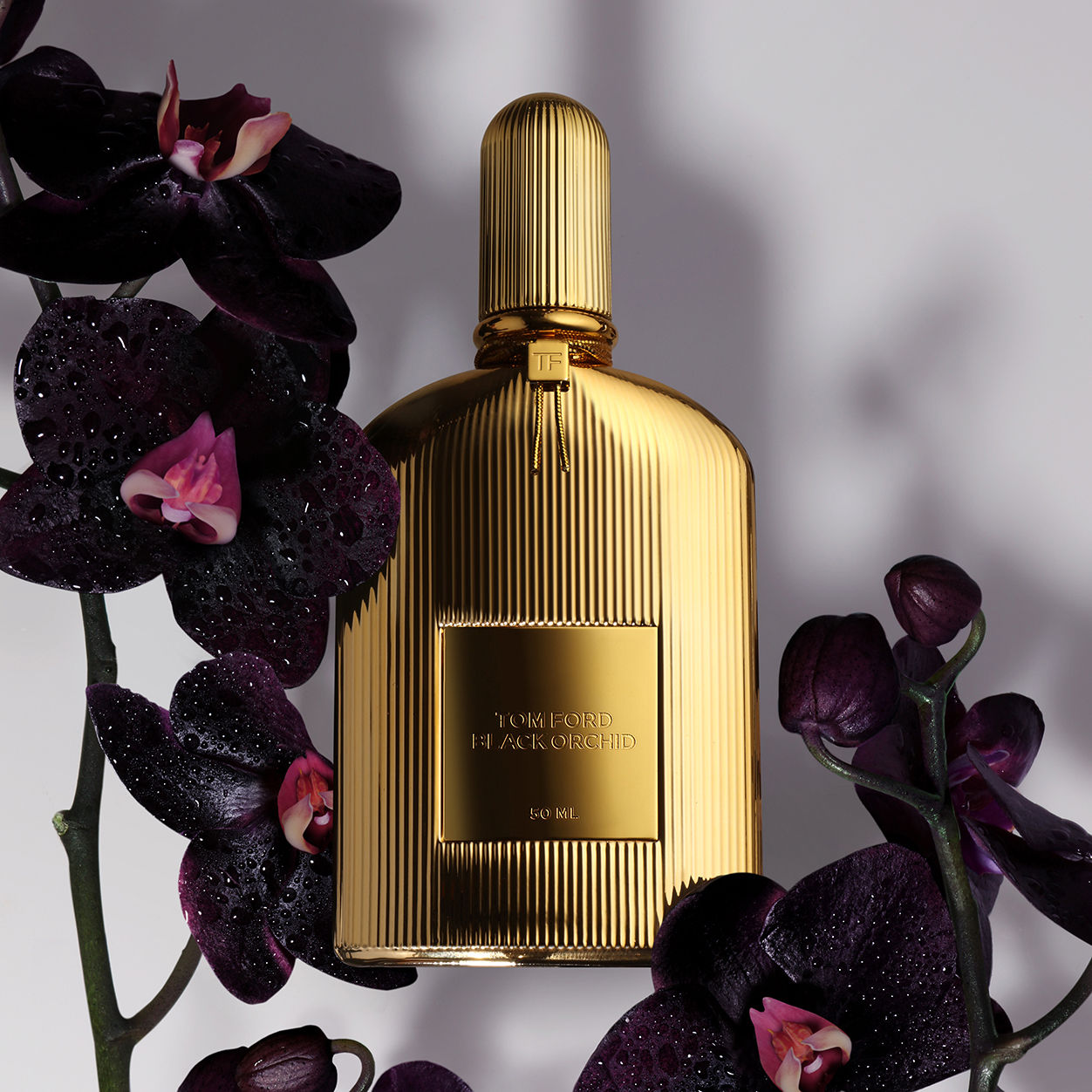 Lifestyle image of Tom Ford Black Orchid Parfum variant: 3.4 fl oz