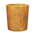 Diptyque Ambre (Amber) Candle variant: 51.3 oz (Very Large) main image