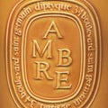 Image of an open Diptyque Ambre (Amber) Candle variant: 51.3 oz (Very Large)