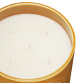 Top-view image of Diptyque Ambre (Amber) Candle variant: 51.3 oz (Very Large)