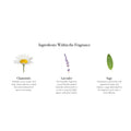 Infographic for the Chamomile Lavender Candle titled Ingredients Within the Fragrance, displaying illustrations and descriptions of chamomile, lavender, and sage.