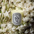 Swatch image of   variant: 6.7 oz (Classic)