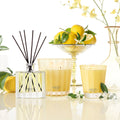 Lifestyle image of Nest Sunlit Yuzu and Neroli Candle variant: 8.1 oz (Classic)