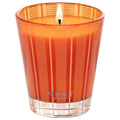 Image of an open Nest Pumpkin Chai Candle variant: 8.1 oz (Classic)