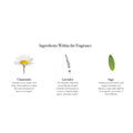 An infographic for the Chamomile Lavender Candle titled Ingredients Within the Fragrance, displaying images and descriptions for chamomile, lavender, and sage to highlight the notes in the scent.