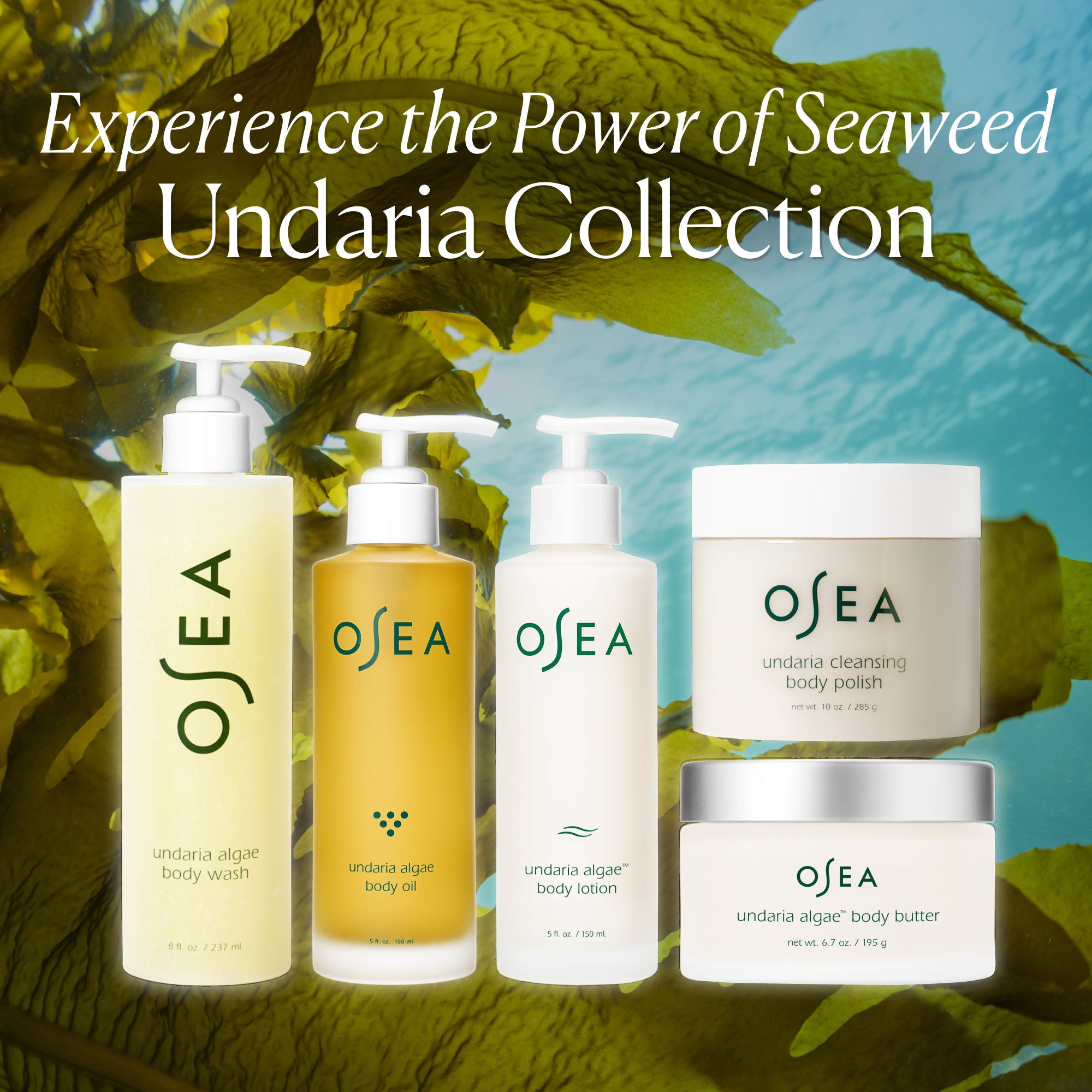 Osea Undaria Algae Body Wash - Thumbnail 4