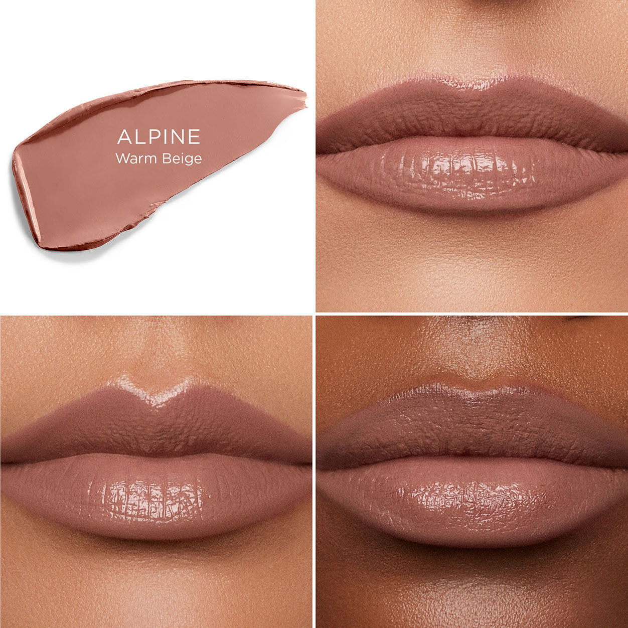 A shade comparison of   variant: Alpine 304