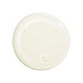 Swatch image of Sisley Paris Gentle Purifying Shampoo variant: Default Title