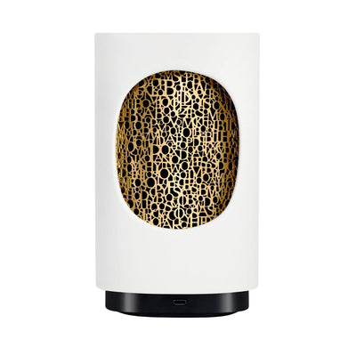 Electric Diffuser for the Home