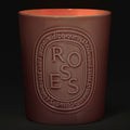 Lifestyle image of Diptyque Roses Candle variant: 21.2 oz (Large)
