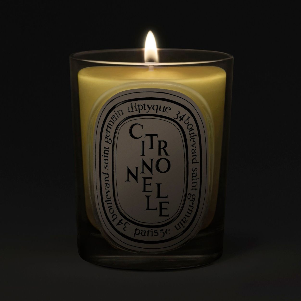 Diptyque Citronnelle (Lemongrass) Classic Candle (Limited Edition