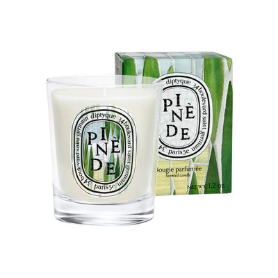 Pinède (Pine Grove) Miniature Candle