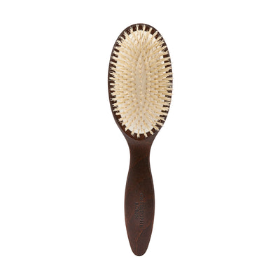 Detangling Hairbrush