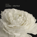 Top-view image of   variant: Default Title