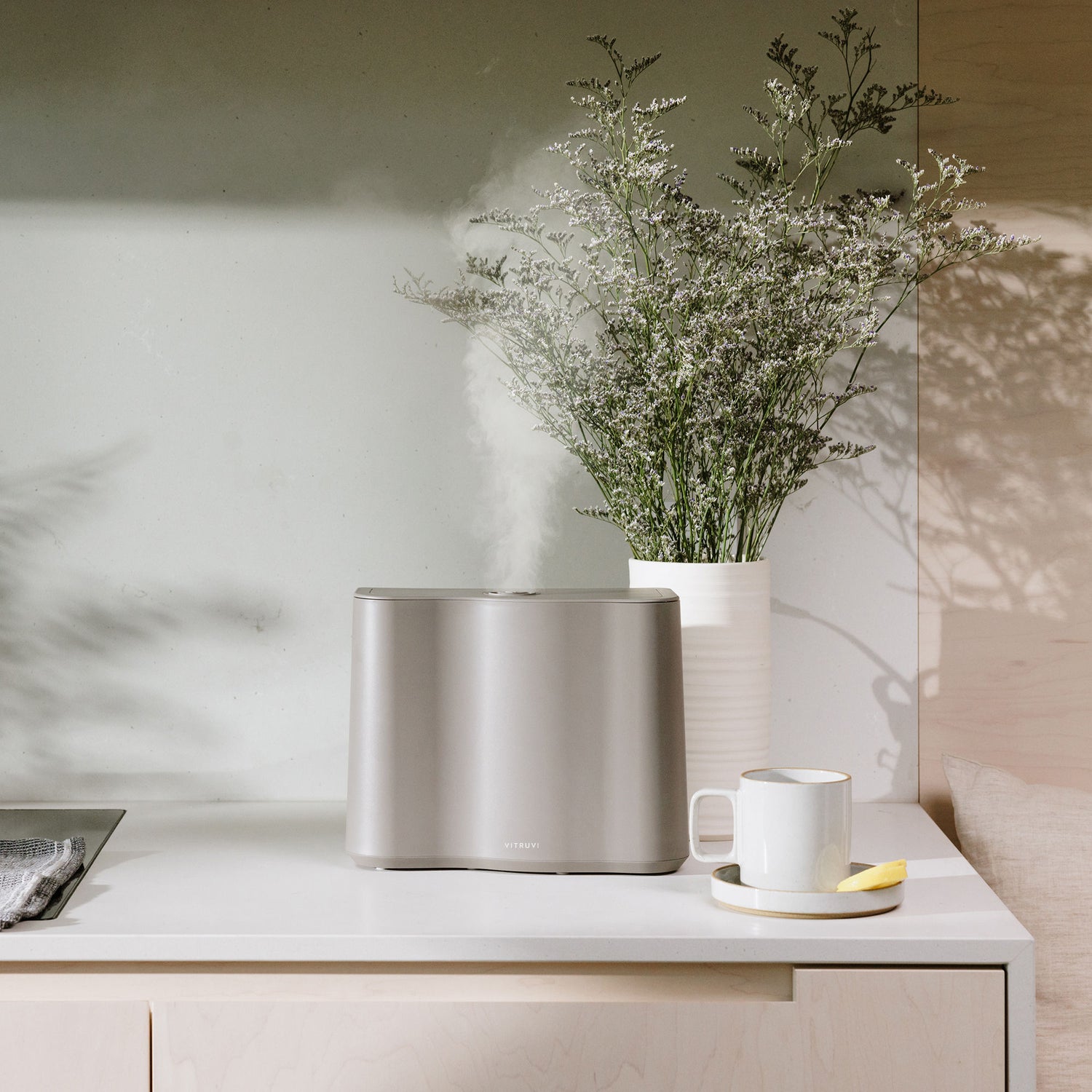 Model image of Vitruvi Cloud Humidifier variant: Dove