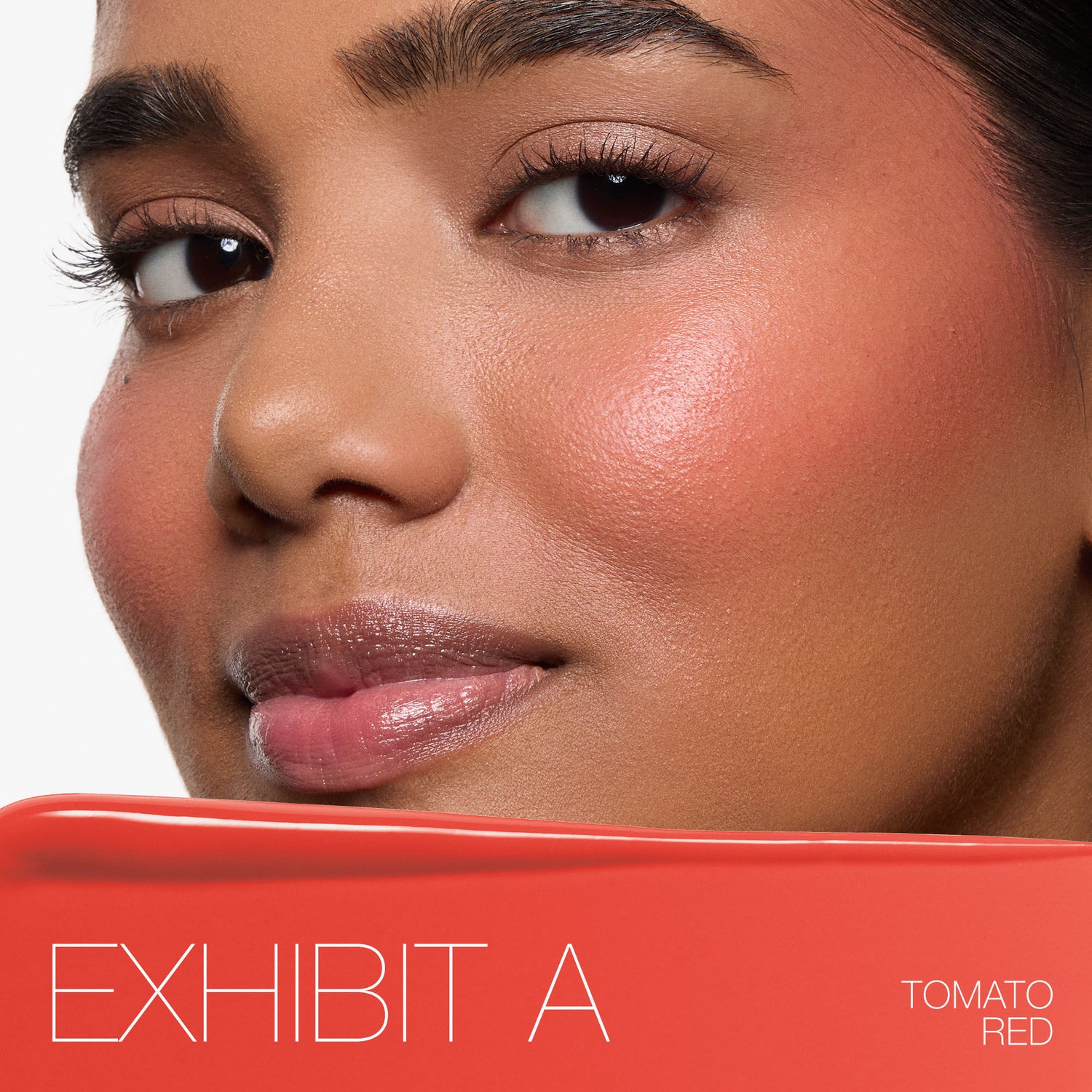 Model image of   variant: Exhibit A - tomato red