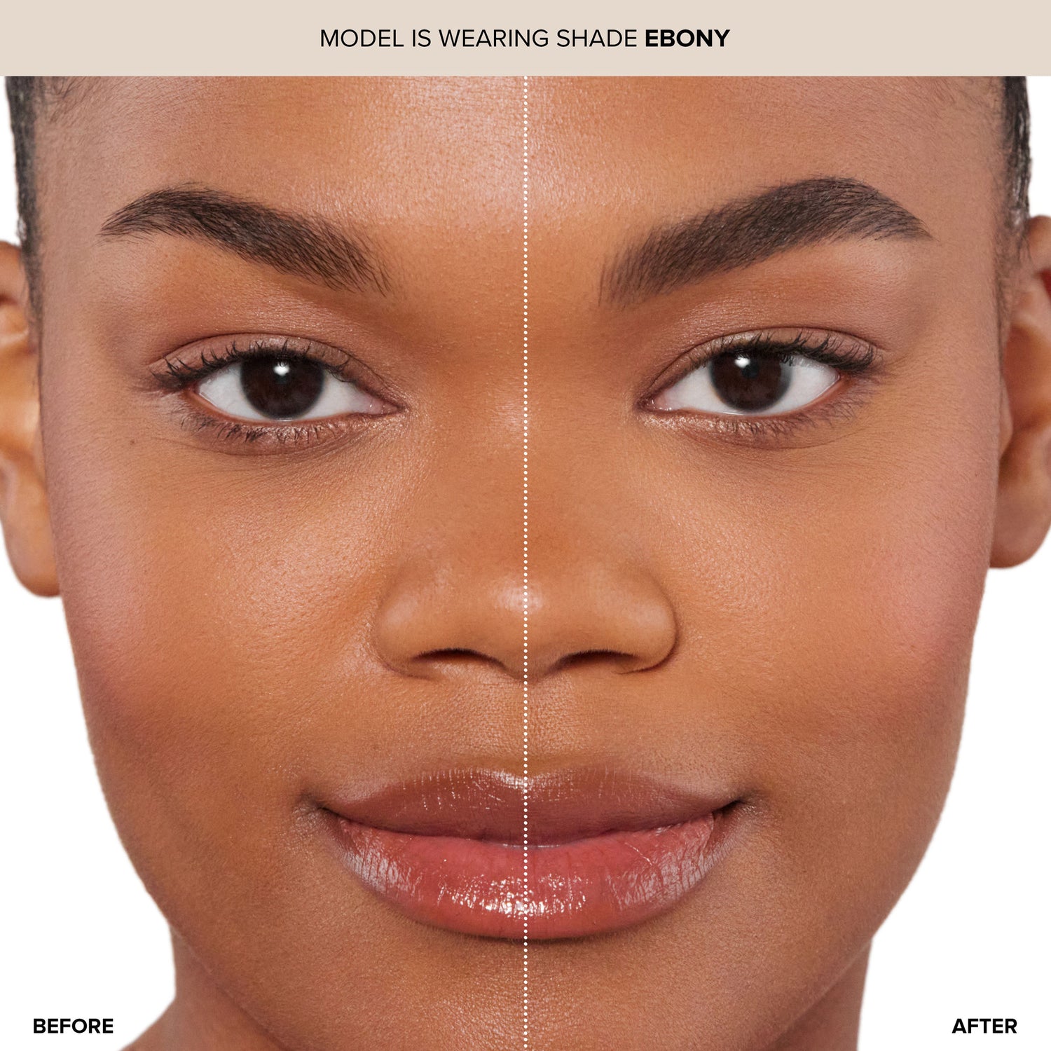 Model image of Anastasia Beverly Hills Ebony variant: Ebony