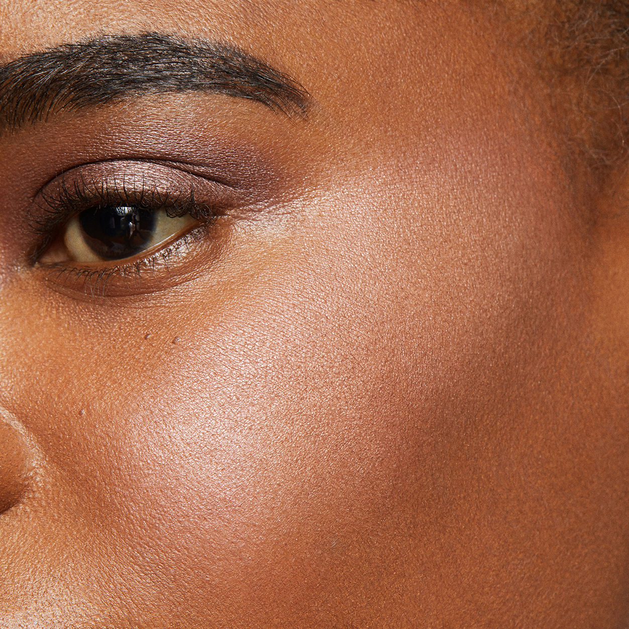 Model image of Laura Mercier Blush Colour Infusion variant: Fresco