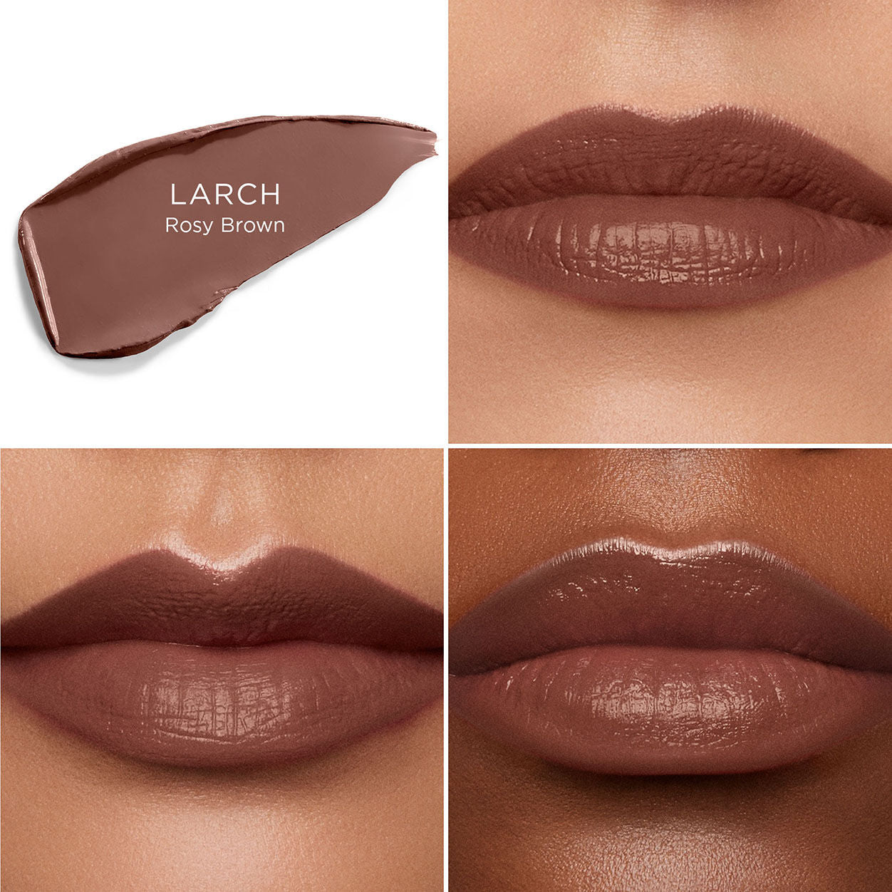A shade comparison of   variant: Larch 308