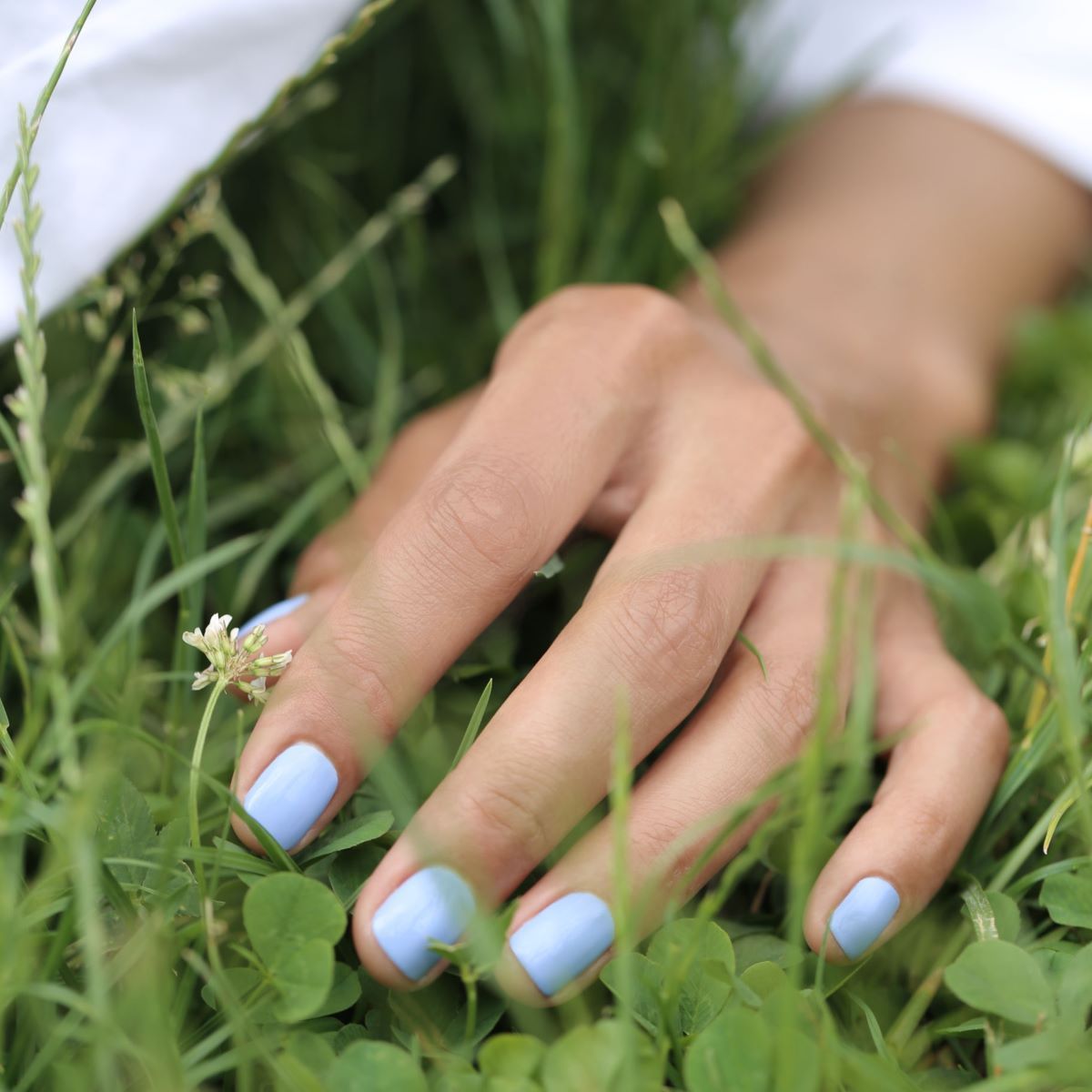Model image of Manucurist Lilas variant: Lilas