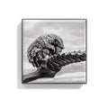 Image of the   variant: Pangolin box