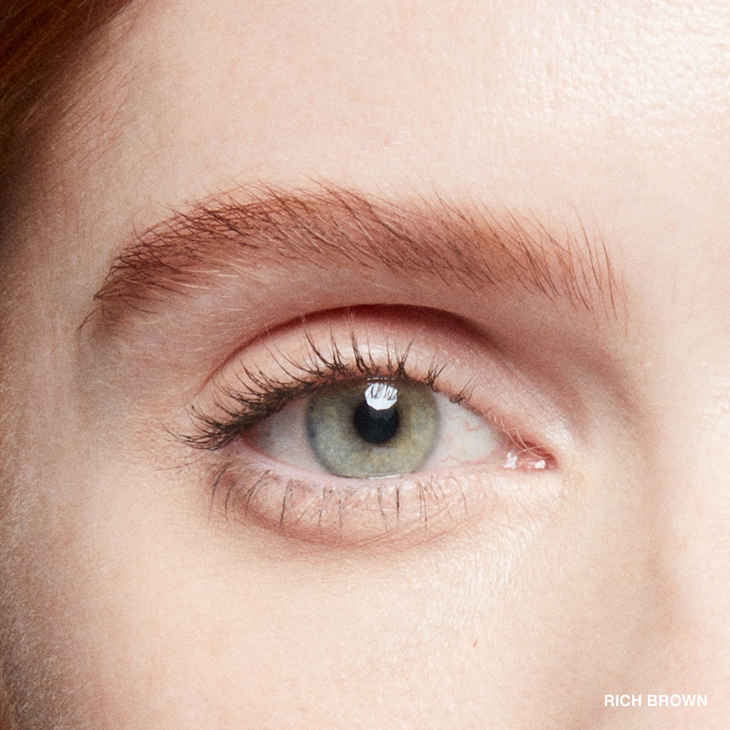 Model image of Bobbi Brown Natural Brow Shaper variant: Rich Brown