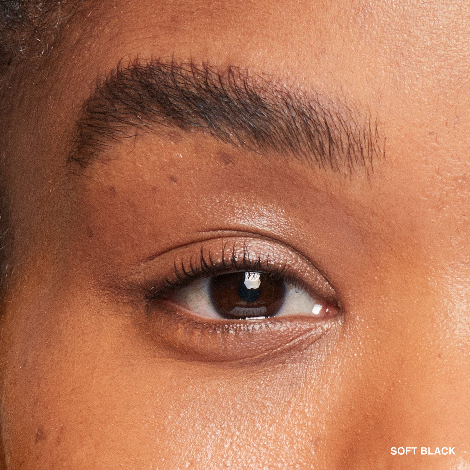 Model image of Bobbi Brown Natural Brow Shaper variant: Soft Black