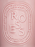 Top-view image of Diptyque Roses Candle variant: 53 oz (Very Large)